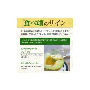 ふるさと納税 メロン メロン青肉 山形県 酒田...の詳細画像5