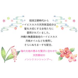 ふるさと納税 石鹸 液体せっけん 沖縄県 うる...の詳細画像3