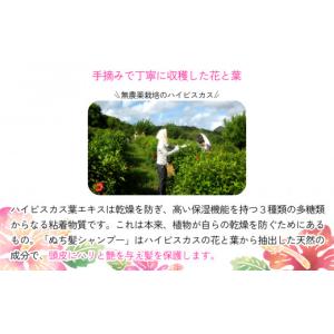 ふるさと納税 石鹸 液体せっけん 沖縄県 うる...の詳細画像4