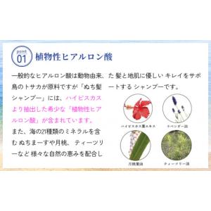 ふるさと納税 石鹸 液体せっけん 沖縄県 うる...の詳細画像5