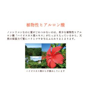 ふるさと納税 石鹸 液体せっけん 沖縄県 うる...の詳細画像3