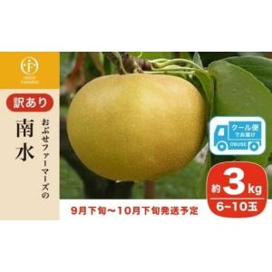 ふるさと納税 梨 長野県 小布施町 訳あり 南...の詳細画像1