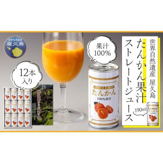 ふるさと納税 鹿児島県 屋久島町 屋久島たんかんジュース 190ml×12本＜屋久島の恵み／果汁10...