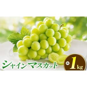 ふるさと納税 ぶどう マスカット 長野県 小布...の詳細画像1