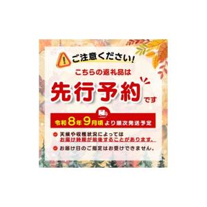 ふるさと納税 ぶどう マスカット 長野県 小布...の詳細画像2