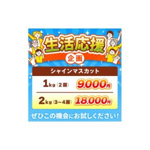 ふるさと納税 ぶどう マスカット 長野県 小布...の詳細画像3