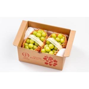 ふるさと納税 ぶどう マスカット 長野県 小布...の詳細画像5