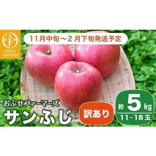 ふるさと納税 りんご 長野県 小布施町  訳あり サンふじ 約5kg 11〜18玉［おぶせファーマー...