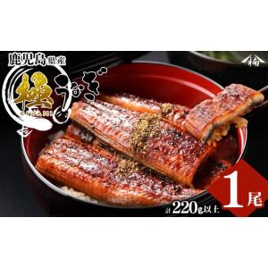 ふるさと納税 うなぎ 鹿児島県 志布志市 楠田の...の商品画像