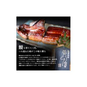 ふるさと納税 うなぎ 鹿児島県 志布志市 楠田...の詳細画像3