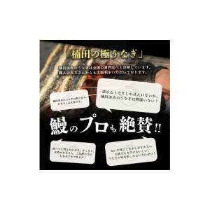 ふるさと納税 うなぎ 鹿児島県 志布志市 楠田...の詳細画像5