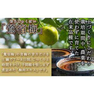 ふるさと納税 加工品等 梅干 宮崎県 都城市 ...の詳細画像2