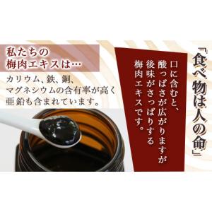 ふるさと納税 加工品等 梅干 宮崎県 都城市 ...の詳細画像3