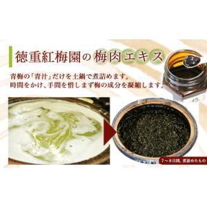 ふるさと納税 加工品等 梅干 宮崎県 都城市 ...の詳細画像4