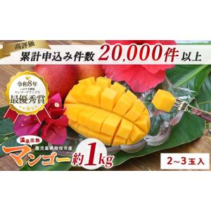 訳ありマンゴー1.5kg（4〜6玉） 沖縄産 : 沖縄お土産通販 ここち琉球