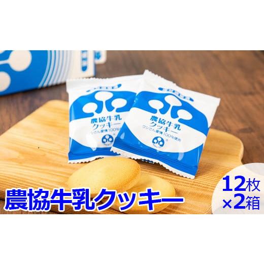 ふるさと納税 鹿児島県 薩摩川内市 ZS-503 農協牛乳クッキー 2箱