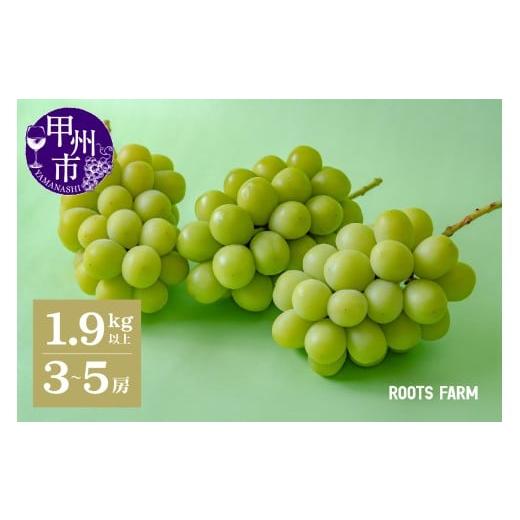 ふるさと納税 ぶどう マスカット 山梨県 甲州市  数量限定 高品質なROOTS FARMシャインマ...