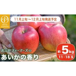 ハウス栽培 せとか JAからつ 佐賀県産 M〜Lサイズ 約2.5kg（12〜18玉