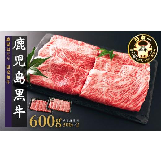 ふるさと納税 牛肉 鹿児島県 大崎町 黒牛すきやきセット（600g）（D-101）