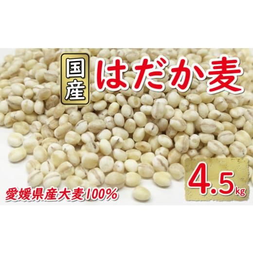 ふるさと納税 雑穀 愛媛県 愛南町 はだか麦 900g 5個セット 10000円 国産 大麦 麦 麦...