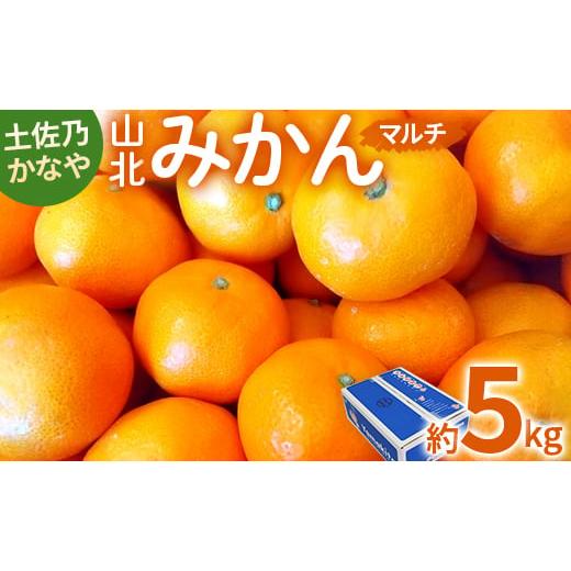 ふるさと納税 高知県 香南市 土佐乃かなや マルチ 山北みかん5kg - 柑橘 ミカン 果物 フルー...