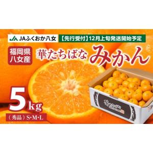愛媛県産 柚子 10kg 家庭用 訳あり サイズ おまかせ 混合 送料無料 箱