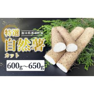 ふるさと納税 野菜類 山菜 栃木県 那須町 那須町産 自然薯（カット）600g〜650g | カット お土産 贈り物 ご自宅用 とろろ とろろご飯 山芋 健康 国産 産地直送…