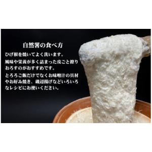 ふるさと納税 野菜類 山菜 栃木県 那須町 那...の詳細画像2