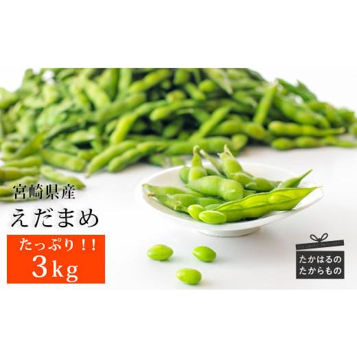 ふるさと納税 宮崎県 高原町 宮崎県産えだまめ3kg(500g×6袋) 国産の冷凍枝豆6袋セット [...