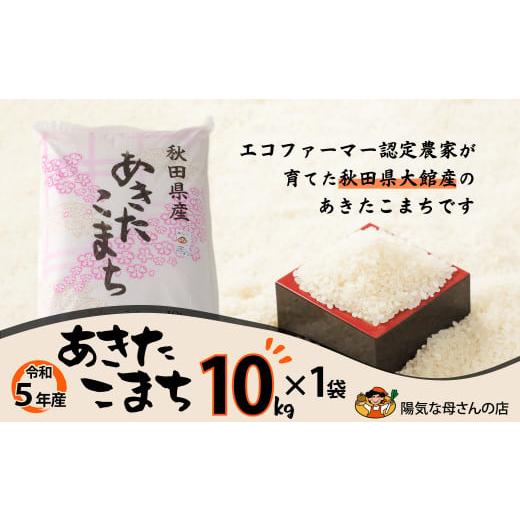 ふるさと納税 秋田県 大館市 65P9005 【令和5年産】あきたこまち10kg（10kg×1袋）