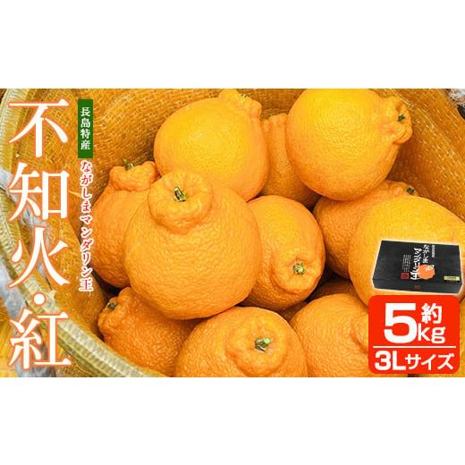 ふるさと納税 鹿児島県 長島町 【先行予約】ながしまマンダリン王(不知火・紅)約5kg しらぬい み...