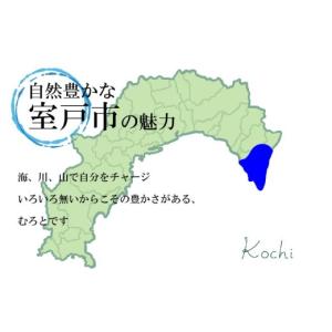 ふるさと納税 仏具・神具 高知県 室戸市 特級...の詳細画像5