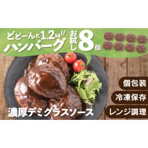 ふるさと納税 肉 ハンバーグ 福岡県 新宮町 ...の詳細画像1