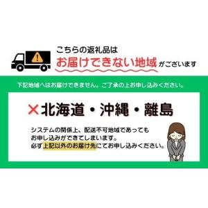 ふるさと納税 肉 ハンバーグ 福岡県 新宮町 ...の詳細画像5