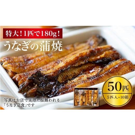 ふるさと納税 長崎県 西海市 【肉厚180g×50匹】秘伝のタレで仕上げた国産うなぎの蒲焼 計９kg...