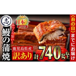 ふるさと納税 うなぎ 鹿児島県 志布志市  訳あり・数量限定 復活 不揃いのうなぎ達 計800g以上(鹿児島県産 鰻の蒲焼き)　うなぎ 鰻 ウナギ 不揃い ふぞろい 訳…｜ふるさとチョイス