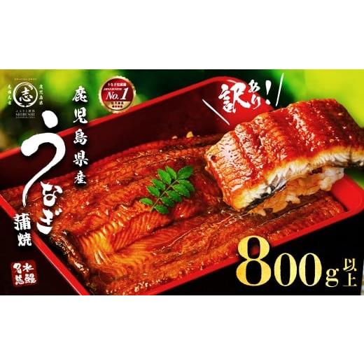 ふるさと納税 うなぎ 鹿児島県 志布志市  訳あり・数量限定 復活 不揃いのうなぎ達 計800g以上...