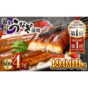 ふるさと納税 うなぎ 鹿児島県 鹿屋市 鹿児島県大隅産うなぎ蒲焼4尾（600g）　KN007-004-04｜ふるさとチョイス