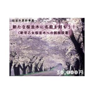 ふるさと納税 栃木県 さくら市 クラウドファンディング　新たな桜並木に名前を刻もう！〈新早乙女桜並木への銘板設置〉50,000円｜furusatochoice