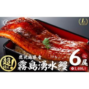 ふるさと納税 うなぎ 鹿児島県 志布志市 数量限定 超特大 鹿児島県産 山田水産の霧島湧水鰻(計1400g以上・236g以上×6尾) うなぎ 鰻 ウナギ 6尾 国産 九州産 …