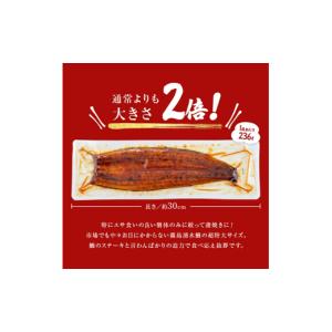 ふるさと納税 うなぎ 鹿児島県 志布志市 数量...の詳細画像4
