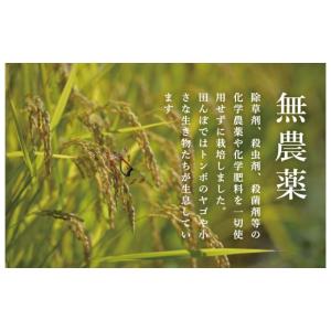 ふるさと納税 米 コシヒカリ 新潟県 南魚沼市...の詳細画像4
