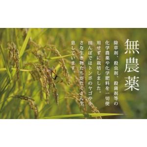 ふるさと納税 米 コシヒカリ 新潟県 南魚沼市...の詳細画像4