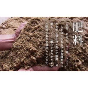 ふるさと納税 米 コシヒカリ 新潟県 南魚沼市...の詳細画像5