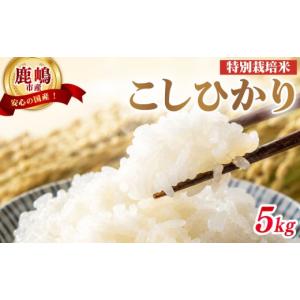 ふるさと納税 米 コシヒカリ 茨城県 鹿嶋市 特...の商品画像