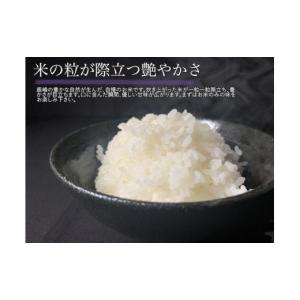 ふるさと納税 米 コシヒカリ 茨城県 鹿嶋市 ...の詳細画像2