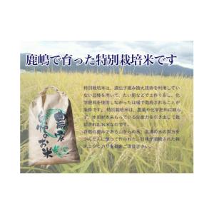 ふるさと納税 米 コシヒカリ 茨城県 鹿嶋市 ...の詳細画像3