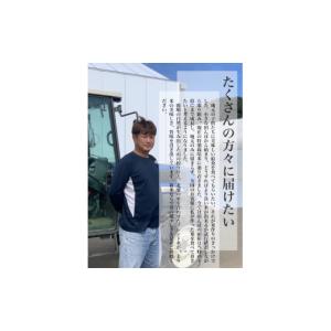 ふるさと納税 米 コシヒカリ 茨城県 鹿嶋市 ...の詳細画像5