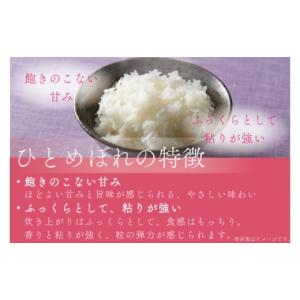 ふるさと納税 米 ひとめぼれ 岩手県 紫波町 ...の詳細画像4