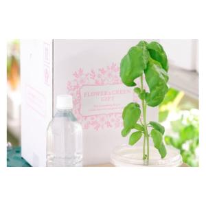 ふるさと納税 セット・詰合せ 宮崎県 日向市 ...の詳細画像2